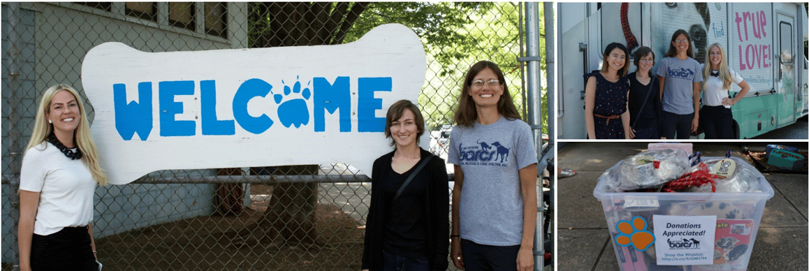 NewWave gives back to Baltimore Animal Shelter