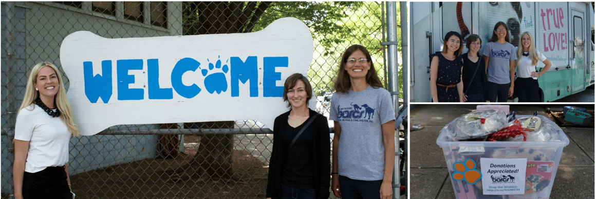 NewWave gives back to Baltimore Animal Shelter